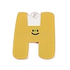 Acrylic Pendants LS-MACR-R002-01H-1