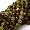 Dyed Natural Agate Faceted Round Beads Strands G-E320E-8mm-11-1