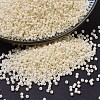 MIYUKI Delica Beads SEED-X0054-DB0762-1