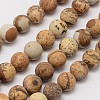 Natural Picture Jasper Beads Strands X-G-D686-8mm-1