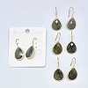 Natural Gemstone Dangle Earrings EJEW-L228-01-2