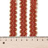 12M Metallic Polyester Braided Lace Trim Ribbons OCOR-WH0060-73C-3