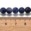 Natural Sodalite Round Bead Strands G-P072-27-6mm-5