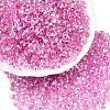 6/0 Baking Paint Transparent Fringe Glass Seed Beads X1-SEED-N006-06G-1