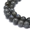 Natural Larvikite Beads Strands G-O201A-07B-3