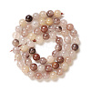 Natural Gemstone Beads Strands G-O029-06A-2