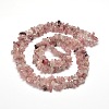 Natural Strawberry Quartz Chip Bead Strands G-M205-59-2