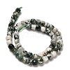 Natural Tree Agate Beads Strands G-H078-C06-01-3