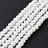 Electroplate Opaque Solid Color Glass Beads Strands EGLA-A044-P2mm-L01-2