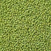 Glass Seed Beads SEED-A010-2mm-44-2