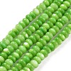 Natural Freshwater Shell Beads Strands SHEL-H002-04-1