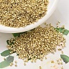 MIYUKI Delica Beads SEED-J020-DB0034-1