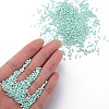 13/0 Glass Seed Beads SEED-T005-14A-A19-5