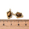 Natural Tiger Eye Irregular Oval Charms STAS-L022-525G-02-3