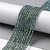 Electroplate Transparent Glass Beads Strands GLAA-H021-01A-FR01-3