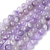 Natural Amethyst Beads Strands G-M445-8MM-01C-2