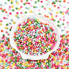 6/0 Opaque Colours Glass Seed Beads SEED-N007-18B-2