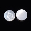 Natural White Shell Cabochons SSHEL-D083-13-2