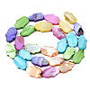 Natural Freshwater Shell Beads Strands SHEL-S278-02-B02-2