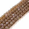 Synthetic Moonstone Beads Strands G-E573-01B-07-1