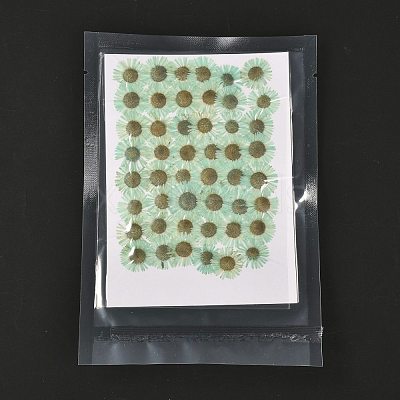 Centaurea Iberica Embossing Dried Flower DIY-K032-65H-1