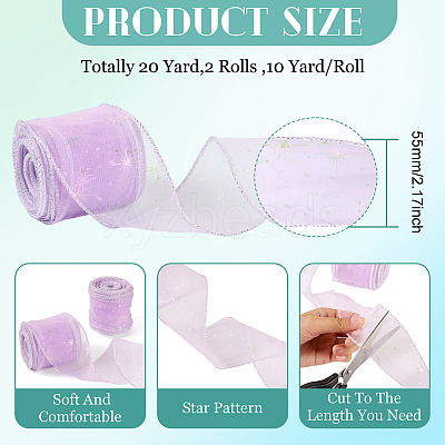 Polyester Deco Mesh Ribbons OCOR-TAC0024-004B-1