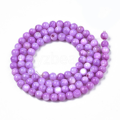 Natural Freshwater Shell Beads Strands SHEL-N003-24-B04-1