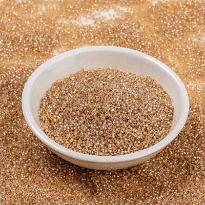 MIYUKI Round Rocailles Beads X-SEED-G009-RR0580-1