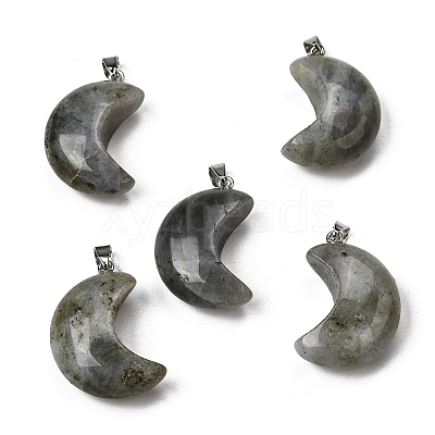 Natural Labradorite Pendants G-F820-02C-1