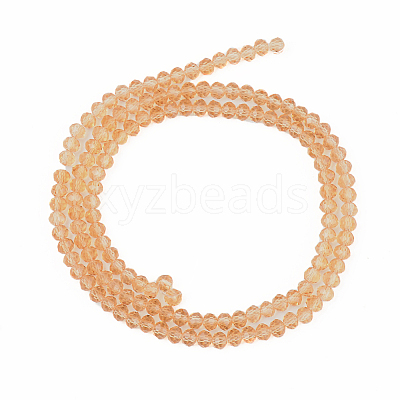 Glass Beads Strands EGLA-A034-T10mm-D23-1