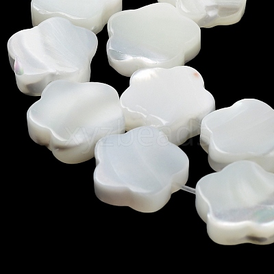 Natural Trochus Shell Beads Strands X-BSHE-P033-07-1