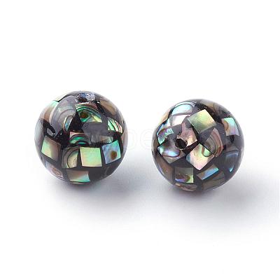 Natural Paua Shell Beads SSHEL-Q298-10mm-09-1