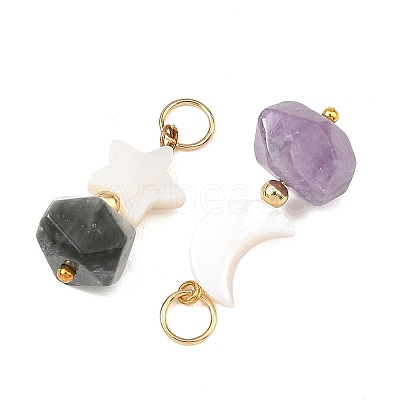 2Pcs 2 Styles Faceted Natural Mixed Stone and Shell Pendants PALLOY-JF06050-1