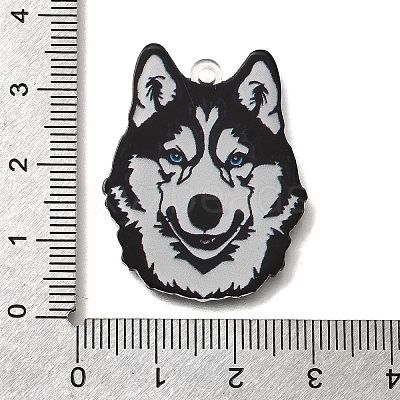 Printed Acrylic Pendants OACR-P033-01F-1
