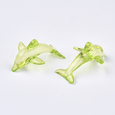 Transparent Acrylic Pendants TACR-S133-127-1