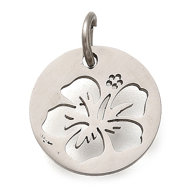 304 Stainless Steel Charms LS-STAS-Z119-14P-1