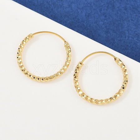 Brass Textured Hoop Earrings EJEW-F378-03C-G-1