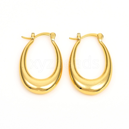 Brass Hoop Earrings EJEW-F250-02-G-1