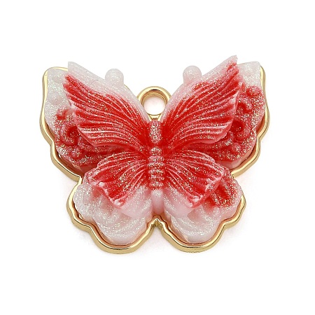 Alloy & Resin & Glitter Powder Pendants RE-CBA4A70-01A-1