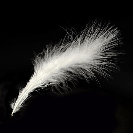 Fashion Feather Costume Accessories FIND-Q040-04A-1