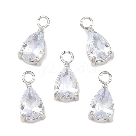 304 Stainless Steel Pave Cubic Zirconia Pendants STAS-P434-01P-1