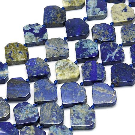 Natural Lapis Lazuli Beads Strands G-G106-E04-01-1