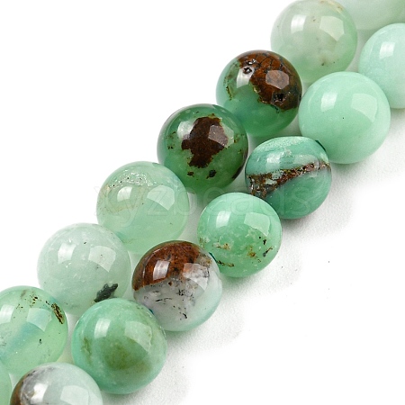 Natural Chrysoprase Beads Strands G-P503-8MM-03-1