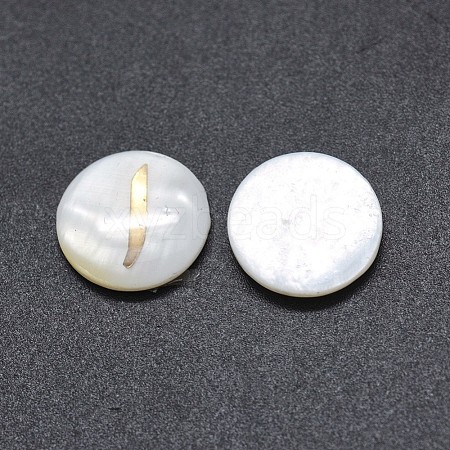 Shell Cabochons SSHEL-E568-B23-1