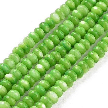 Natural Freshwater Shell Beads Strands SHEL-H002-04-1