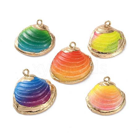 Sea Shell Pendants SSHEL-B002-07G-01-1