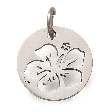 304 Stainless Steel Charms LS-STAS-Z119-14P-1