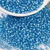 MIYUKI Round Rocailles Beads X-SEED-G007-RR0573-1