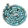 Natural Howlite Beads Strands G-H025-03C-01-3