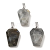 Natural Mixed Stone Pendants G-G004-06A-M01-2